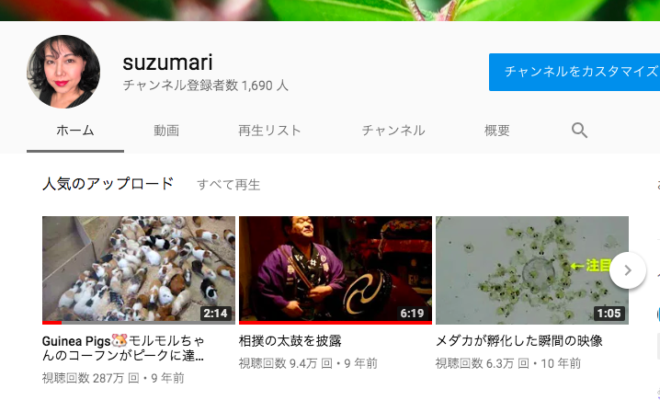YouTuberだったすずまり
