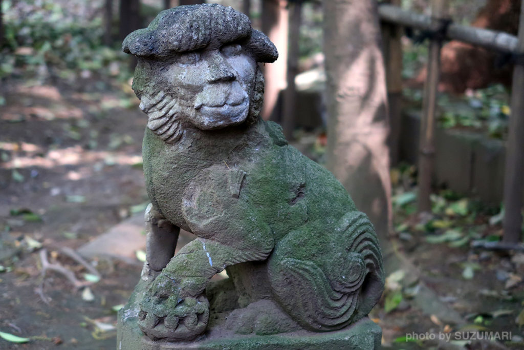 巽神社の狛犬要チェック!