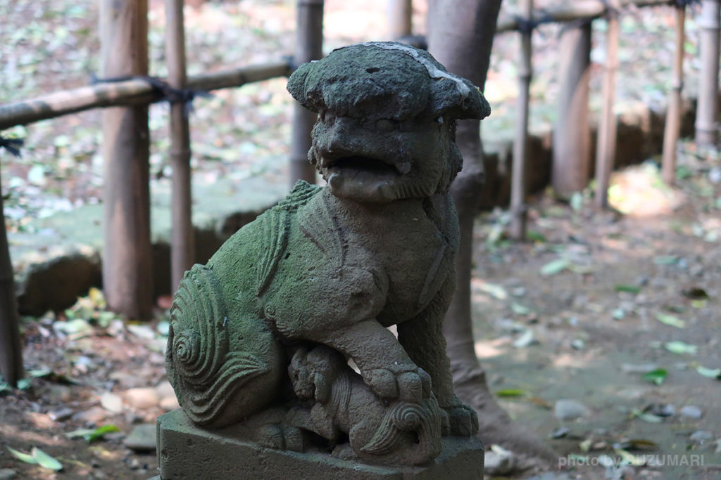 巽神社の狛犬(左)
