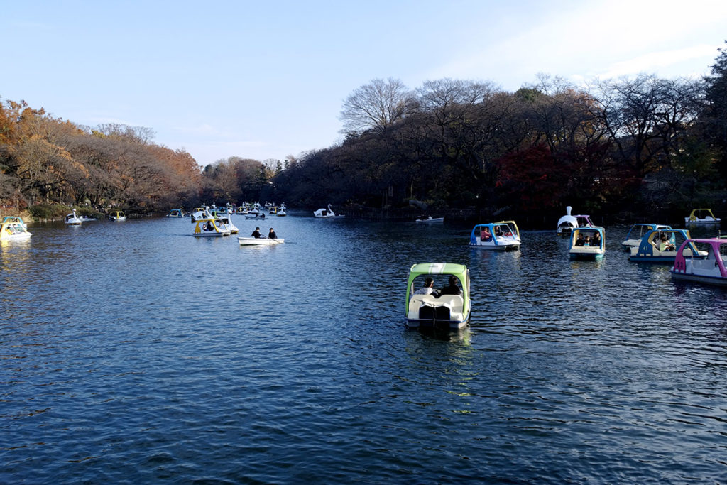 2016年12月4日撮影の井の頭公園の池