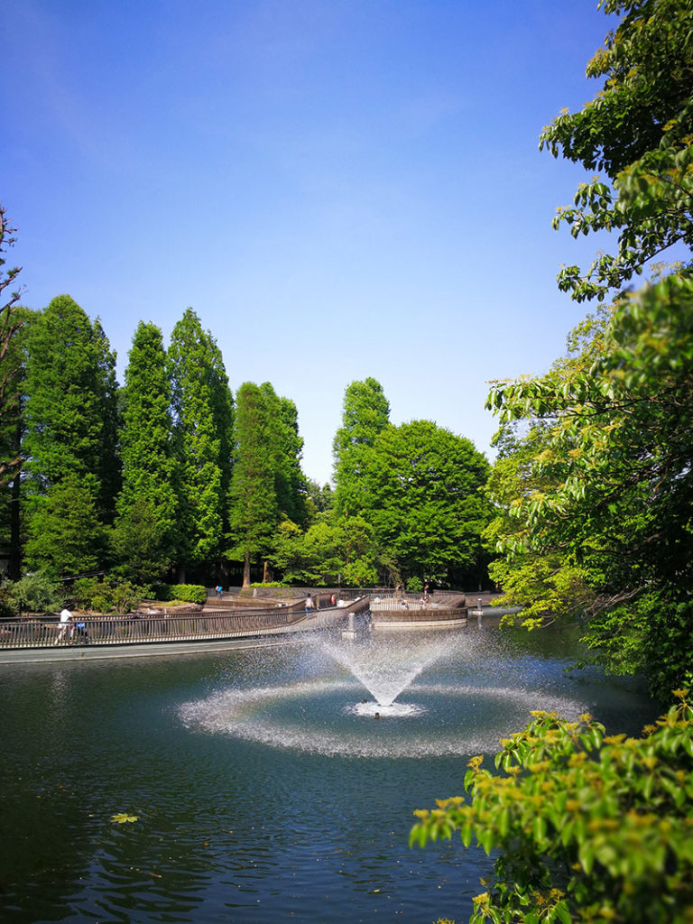 2017年5月21日に撮影した井の頭公園の池