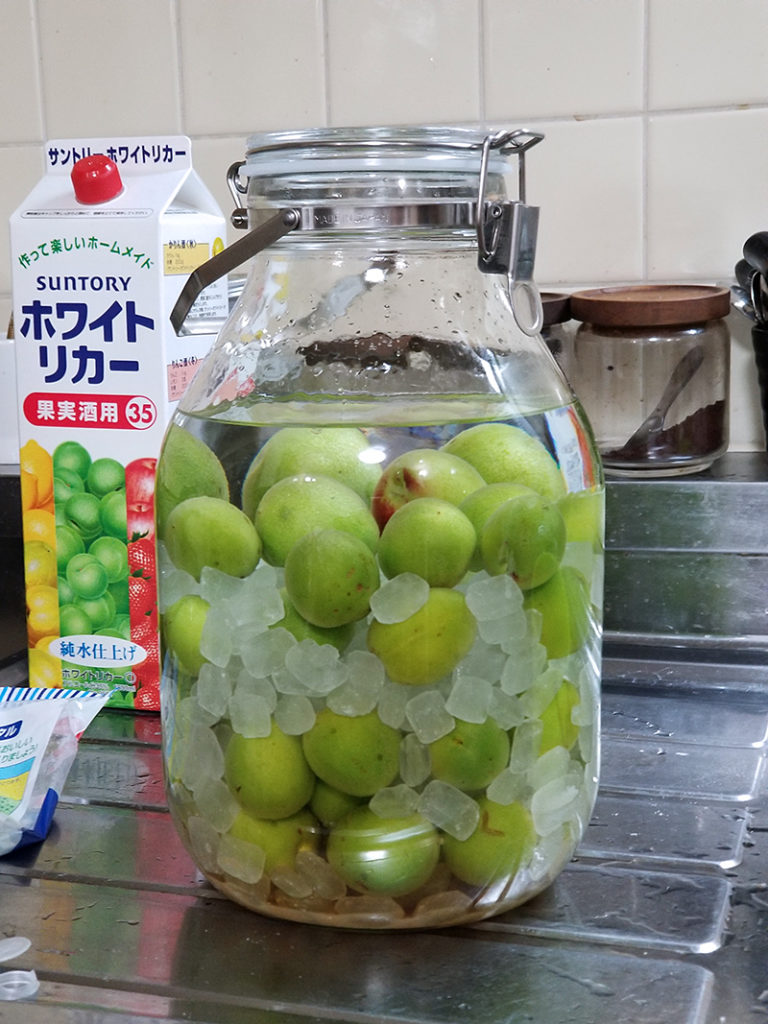 梅酒の仕込み完了