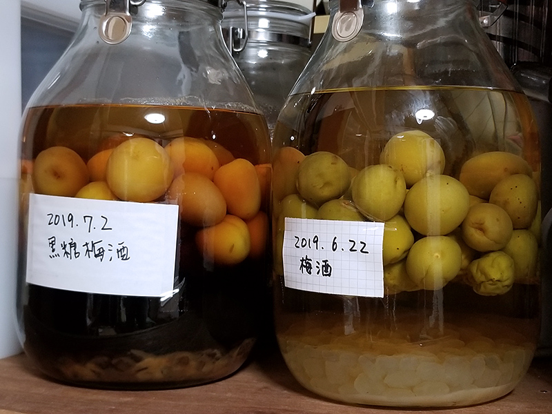 7月14日の梅酒