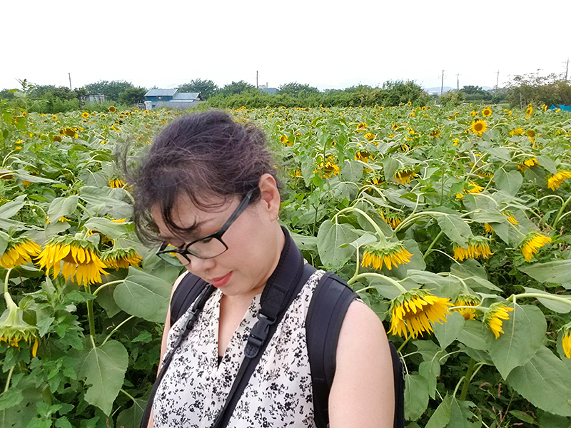 8割がしおれていました