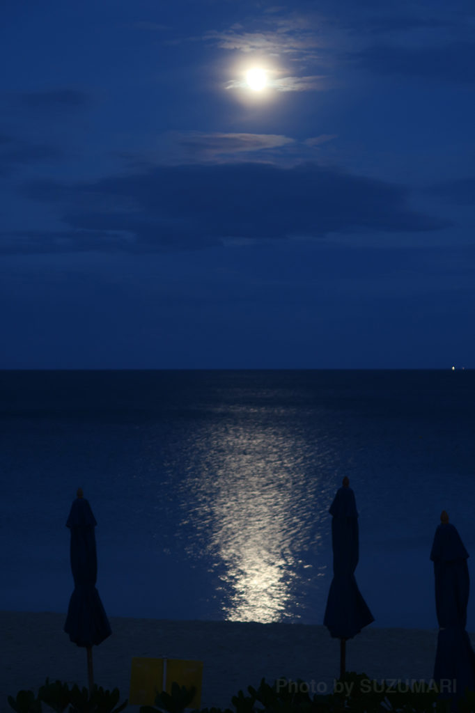 海に浮かぶ月